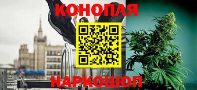 ПСИЛОЦИБИНОВЫЕ ГРИБЫ Камышлов