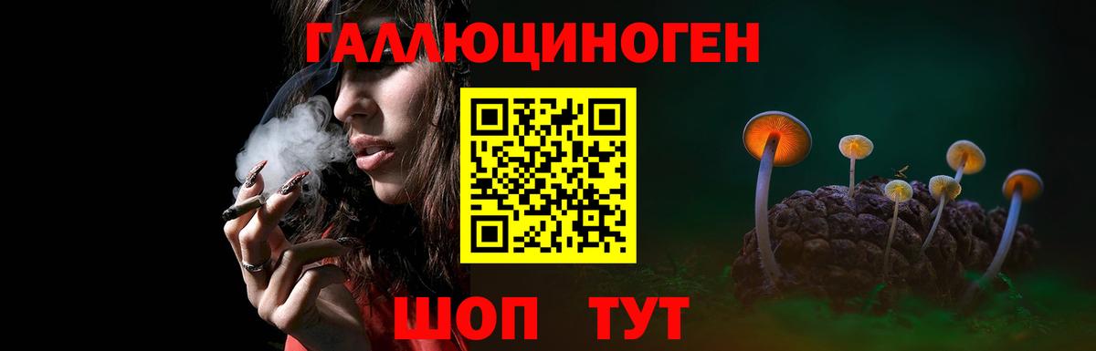 Владимир  Галлюциногенные грибы MAGIC MUSHROOMS  как найти закладки  Вход с VPN 